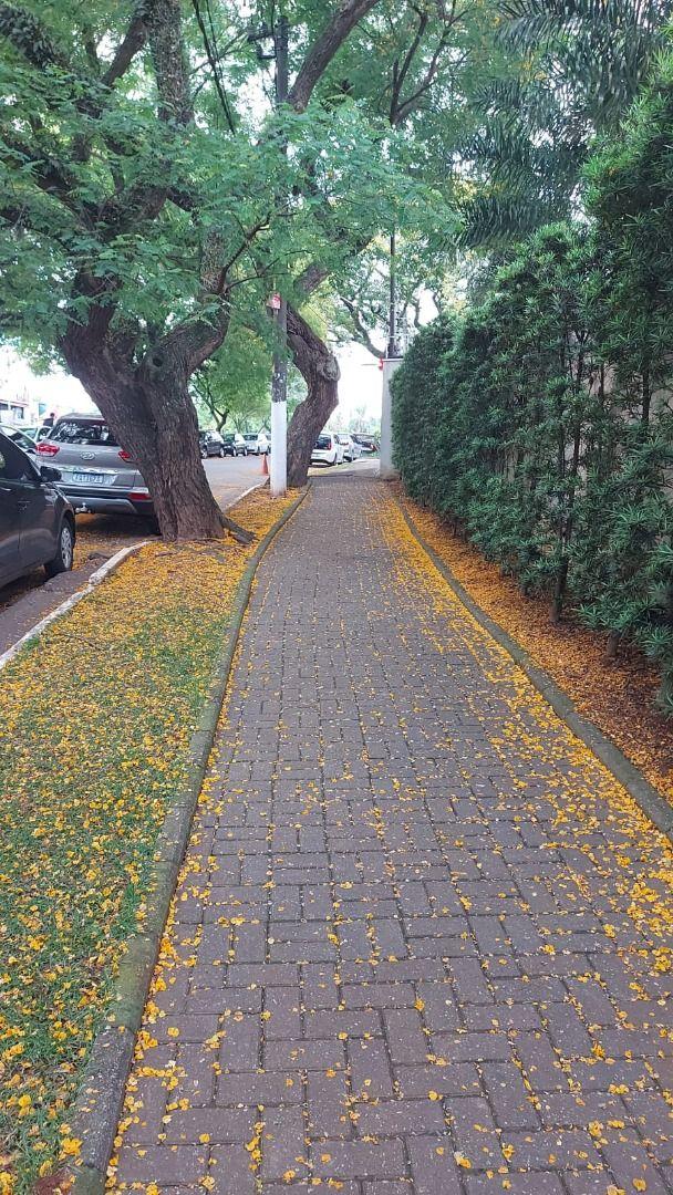 Apartamento - City América